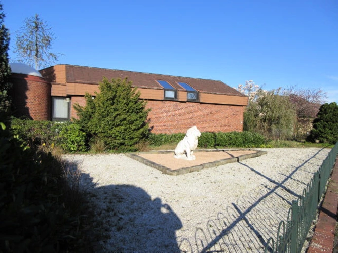 Bild5