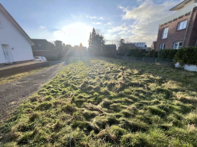 Platzhirsch_EbayKleinanzeigen_2400x1800Pixel_221201_Ibbenbueren
