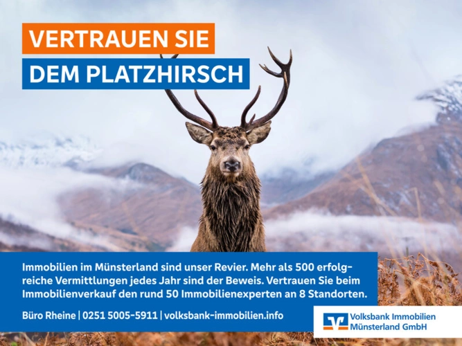 Immobilienbild 8