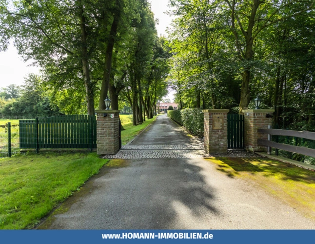 Frontansicht