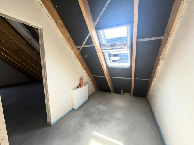 Immobilienbild 13
