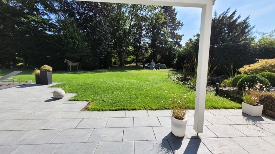 Blick in den Garten
