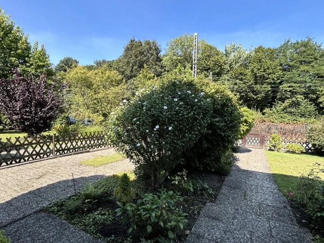 Immobilienbild 11