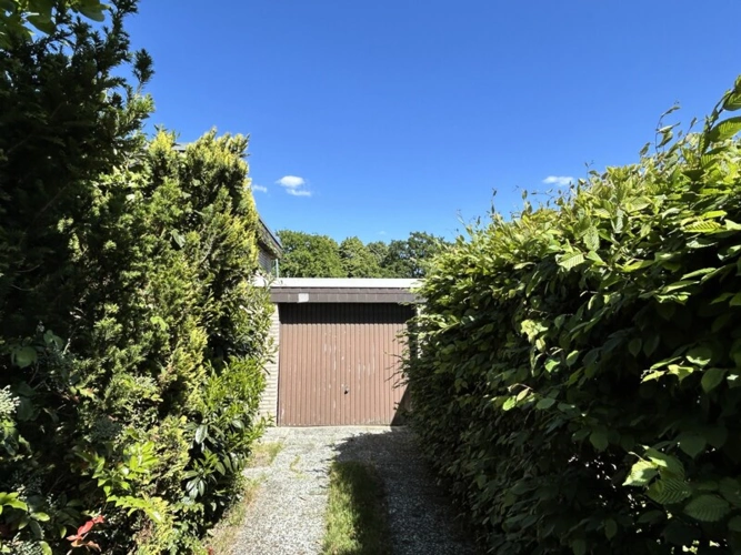 Immobilienbild 9