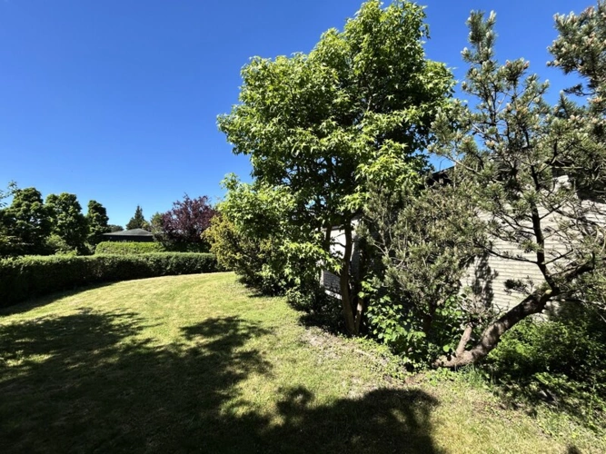 Immobilienbild 6