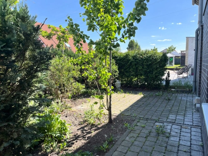 Immobilienbild 4