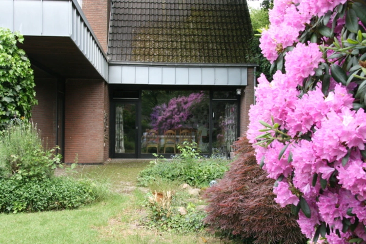 Immobilienbild 9