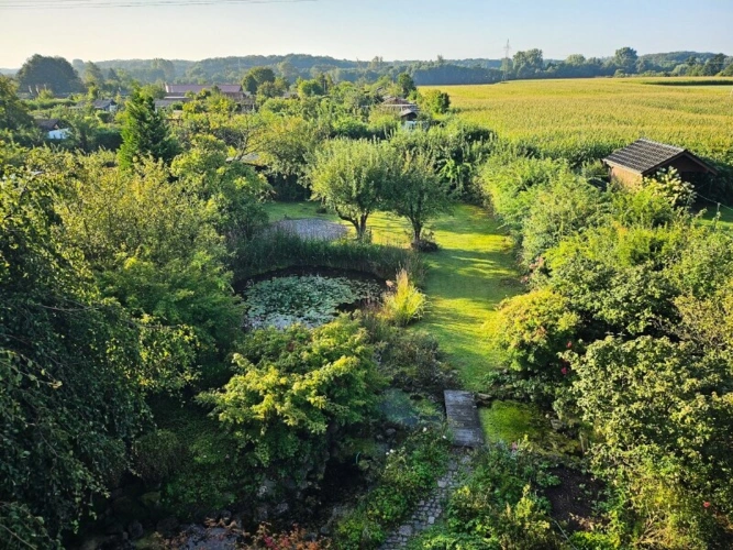 Blick in den Garten