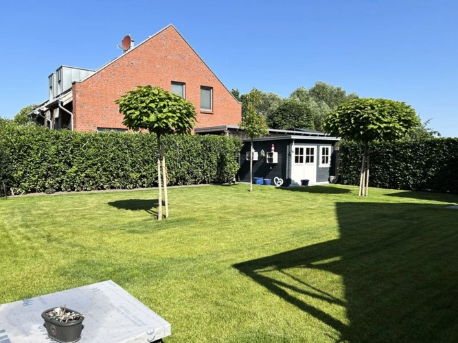 Immobilienbild 5