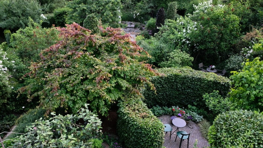 Blick auf Wohnhaus-Garten und Baugrundstück