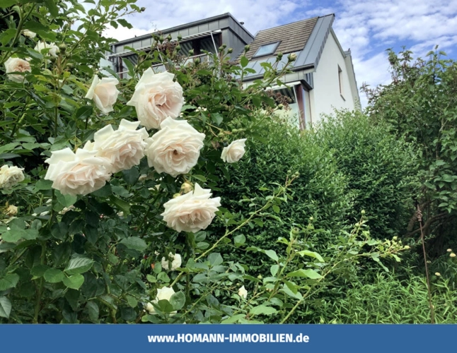 Wohnhaus Gartenansicht