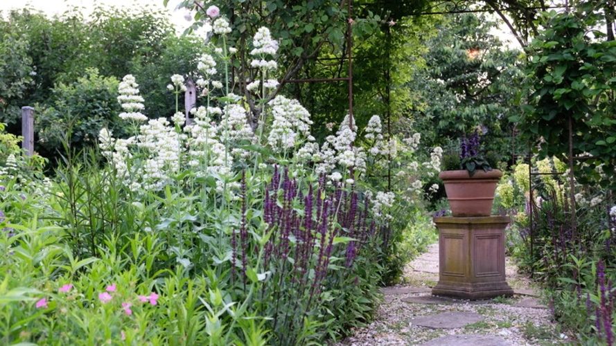 Baugrundstück: Staudenbeete
