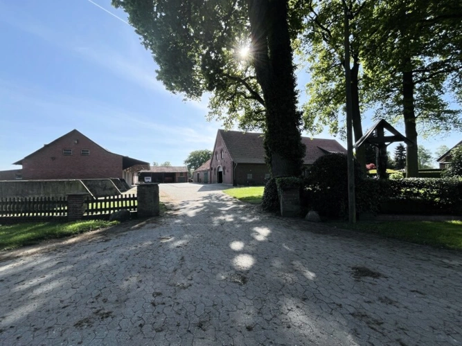 Immobilienbild 11