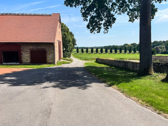 Immobilienbild 9