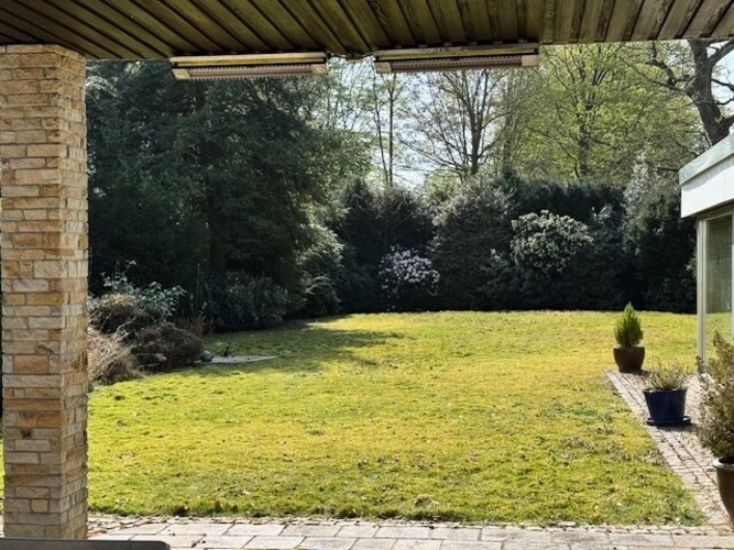 Mit Solitär-Gehölzen