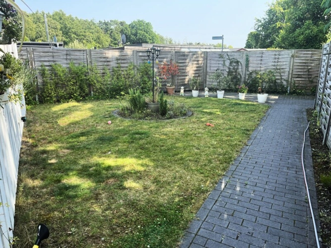 Eingangsbereich mit Rasenfläche