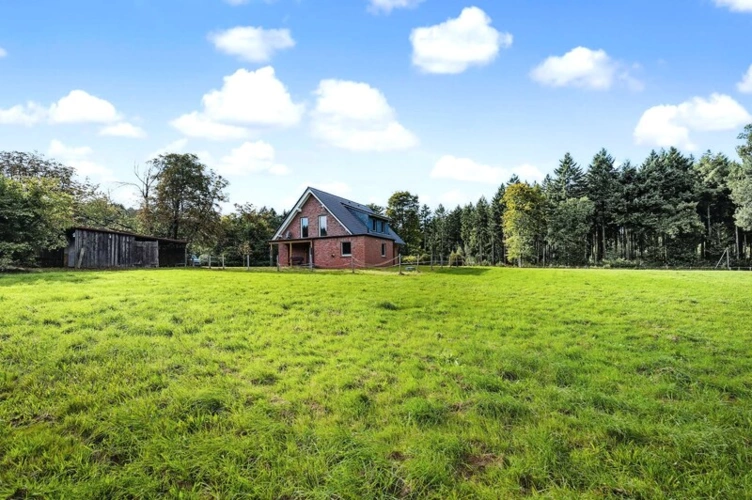 Blick von der Koppel