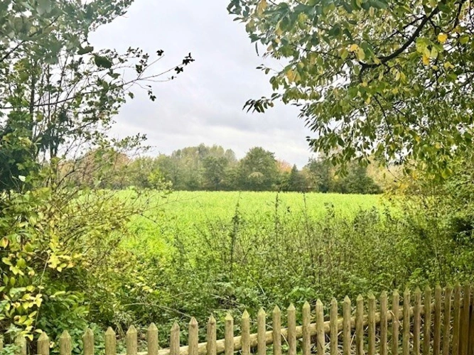 Der Blick aus dem OG in den Garten