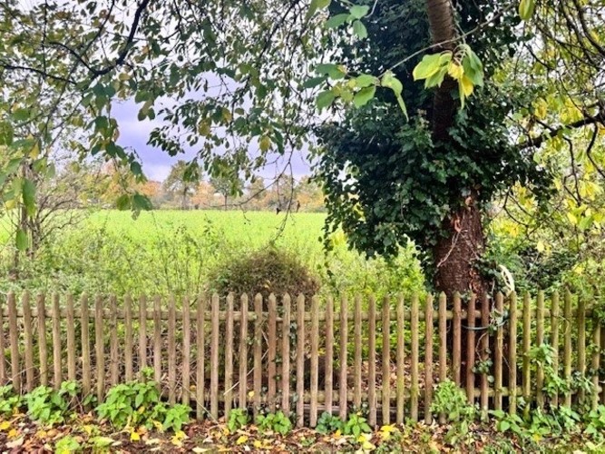 Seltene Lage im Stadtgebiet von Münster