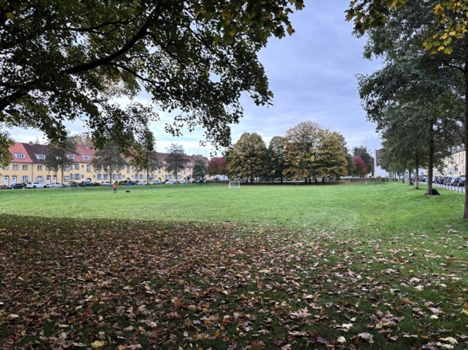 Grünfläche Grüner Grund