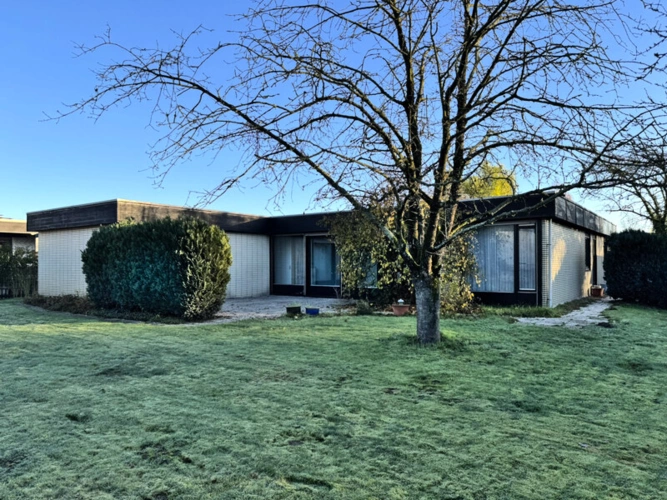 schicke Rückansicht