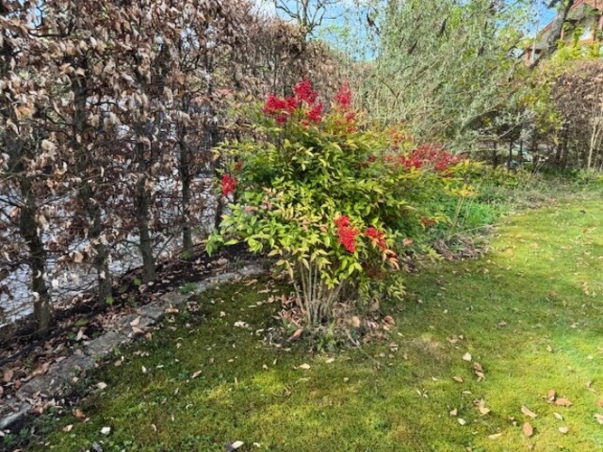 Der großzügige Dielenbereich