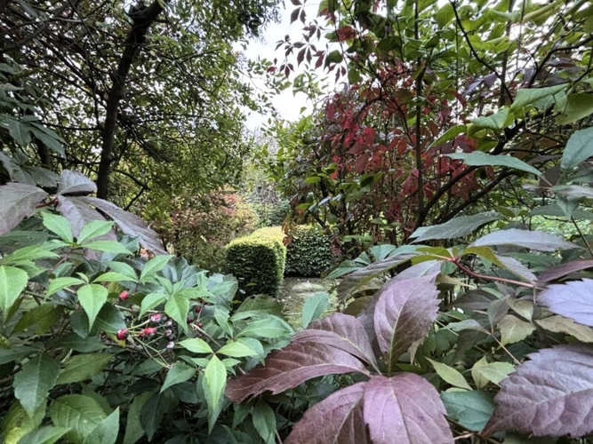 Herbstfarben