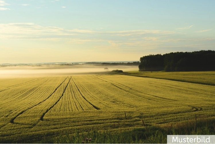Musterbild