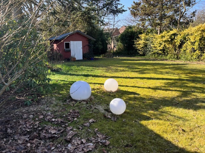 Bild5