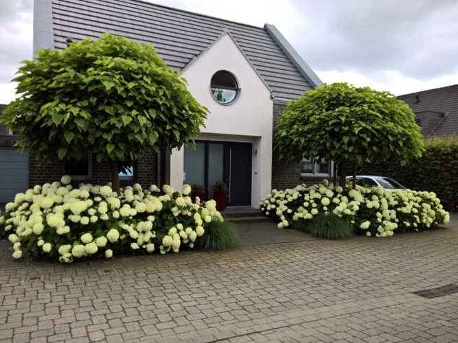 Vorderansicht