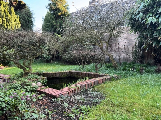 Teich als Blickfang mit interessanter Bepflanzung