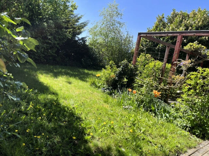 Bild5