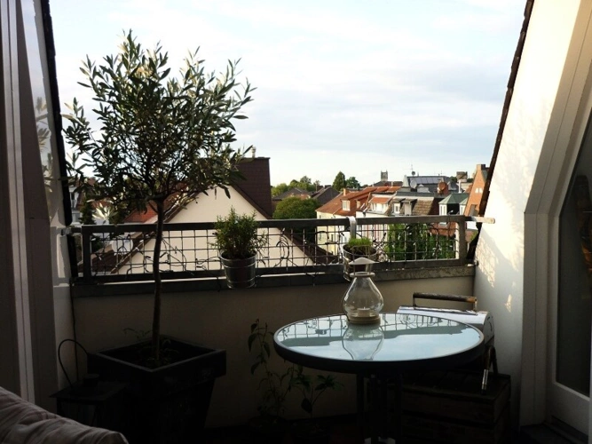 Hereinspaziert