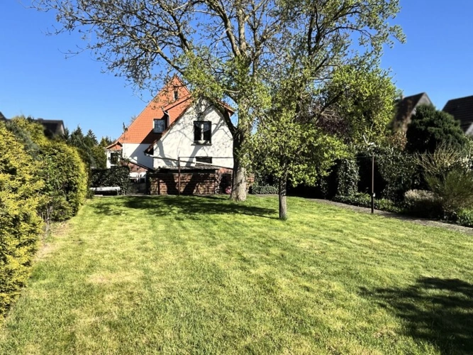 Seitenansicht