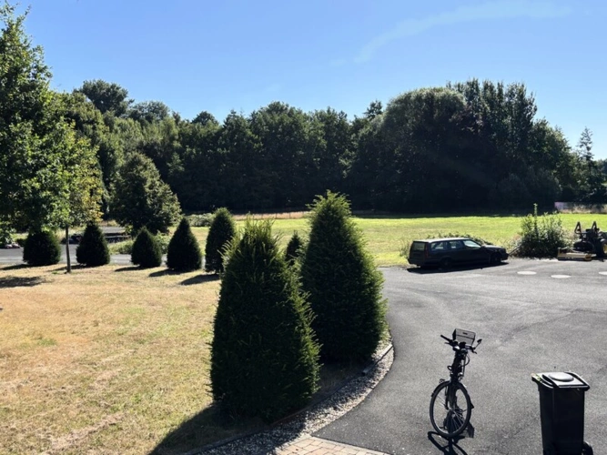 Garten mit Wald
