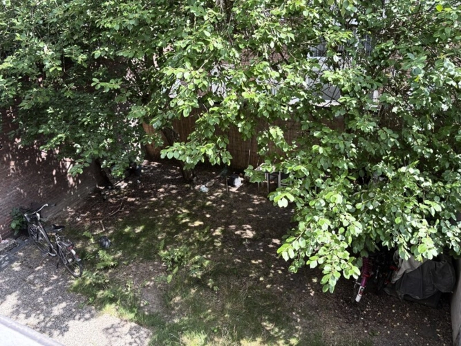 Der Garten