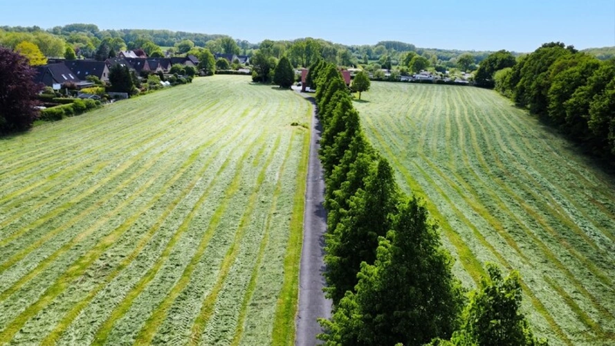 Luftbild des Hofes