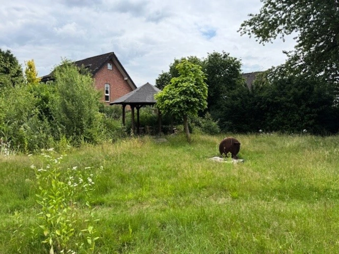 mit schönen Solitärpflanzen