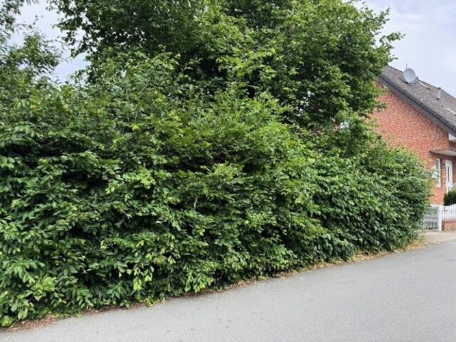 Immobilienbild 5
