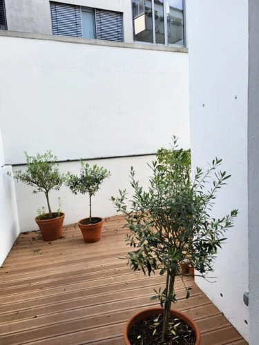 Hof-Terrasse