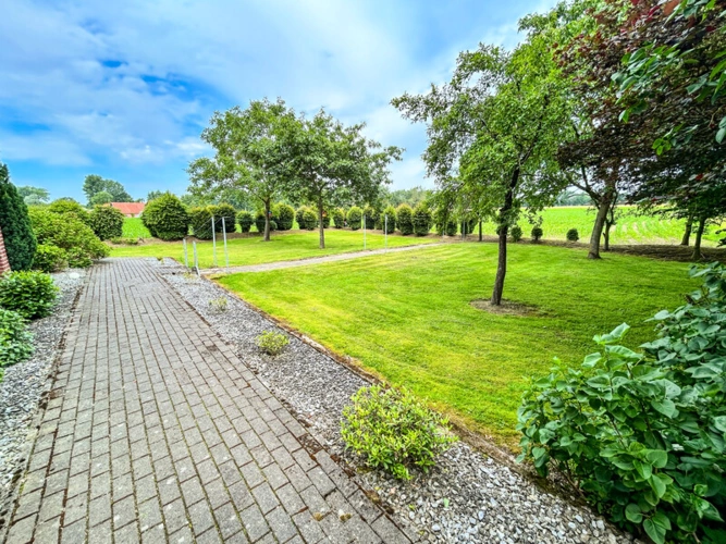 Immobilienbild 8