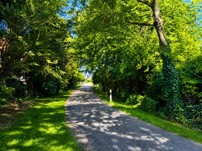 Umgebung