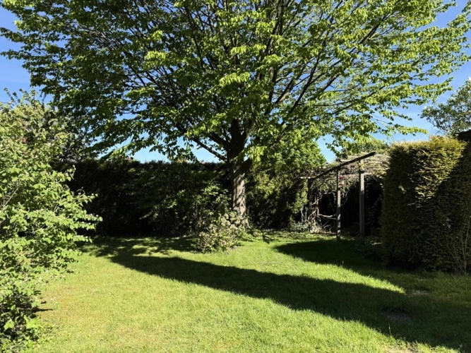 Blick in den Garten