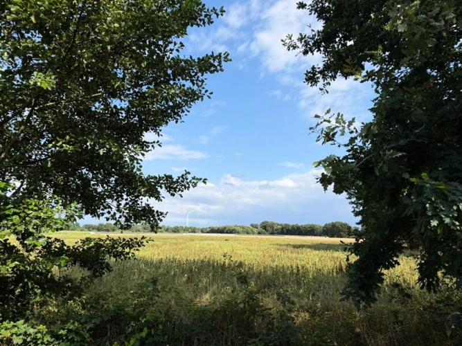 Umgebung