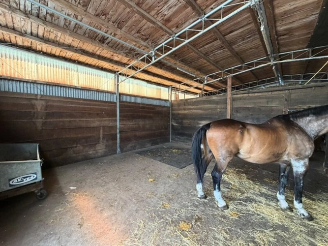 Pferdestall