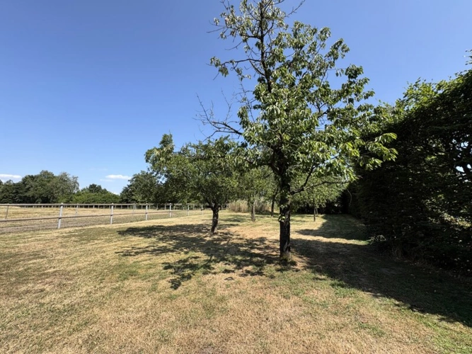 Obstwiese hinterm Garten