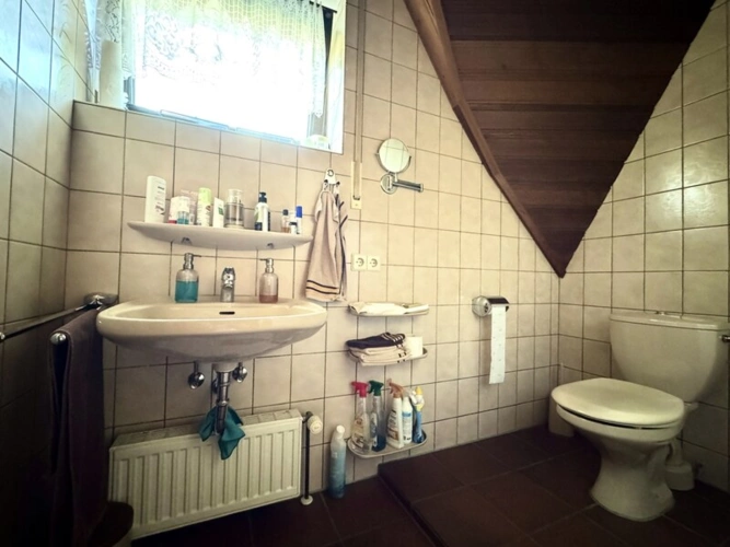 Gäste-WC und Dusche