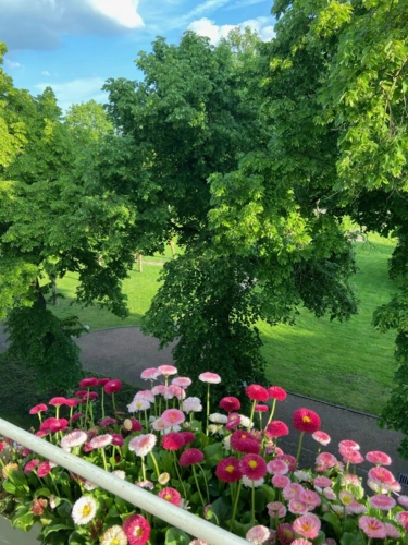 Blick aus Süd-Loggia in Privatpark