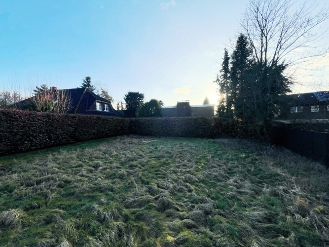 Platzhirsch_EbayKleinanzeigen_2400x1800Pixel_221201_Ibbenbueren