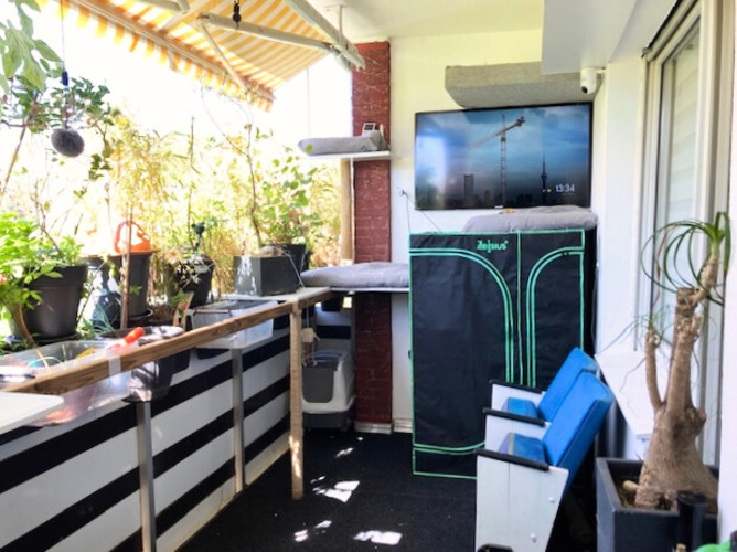 Balkon